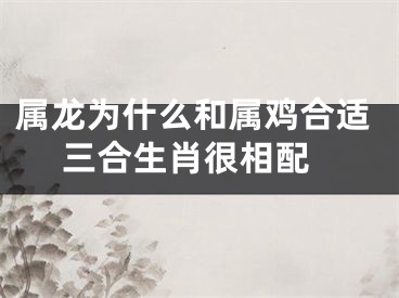 属龙为什么和属鸡合适 三合生肖很相配