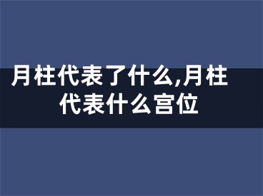 月柱代表了什么,月柱代表什么宫位