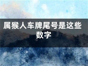 属猴人车牌尾号是这些数字