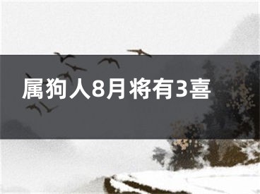 属狗人8月将有3喜
