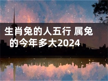 生肖兔的人五行 属兔的今年多大2024