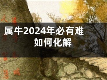 属牛2024年必有难如何化解