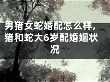 男猪女蛇婚配怎么样,猪和蛇大6岁配婚姻状况