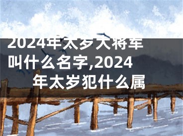 2024年太岁大将军叫什么名字,2024年太岁犯什么属