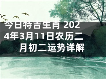 今日特吉生肖 2024年3月11日农历二月初二运势详解