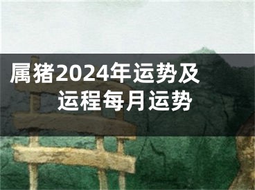 属猪2024年运势及运程每月运势