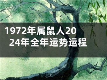 1972年属鼠人2024年全年运势运程