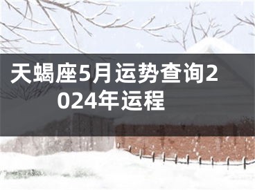 天蝎座5月运势查询2024年运程