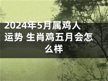 2024年5月属鸡人运势 生肖鸡五月会怎么样