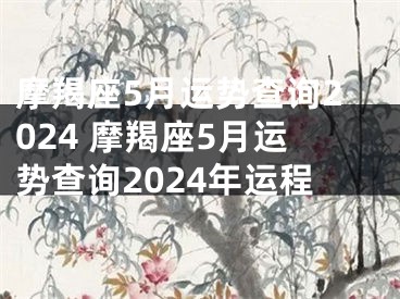 摩羯座5月运势查询2024 摩羯座5月运势查询2024年运程