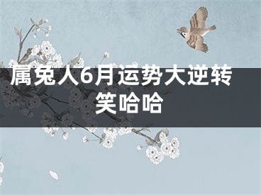 属兔人6月运势大逆转笑哈哈