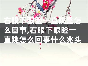 右眼下眼睑一直跳是怎么回事,右眼下眼睑一直跳怎么回事什么兆头