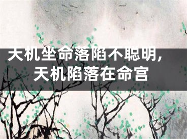 天机坐命落陷不聪明,天机陷落在命宫