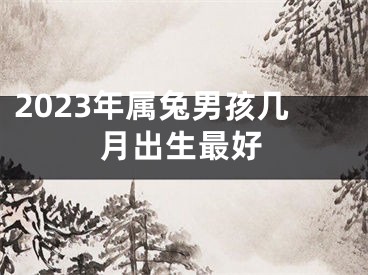 2023年属兔男孩几月出生最好