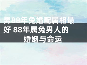 男88年兔婚配属相最好 88年属兔男人的婚姻与命运