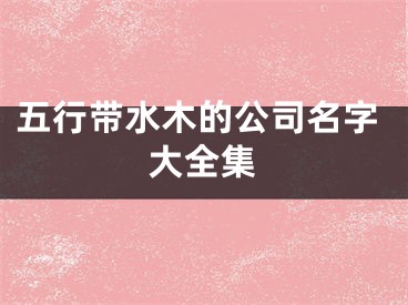 五行带水木的公司名字大全集