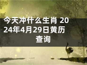 今天冲什么生肖 2024年4月29日黄历查询