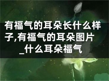 有福气的耳朵长什么样子,有福气的耳朵图片_什么耳朵福气