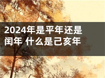 2024年是平年还是闰年 什么是己亥年 