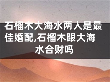 石榴木大海水两人是最佳婚配,石榴木跟大海水合财吗