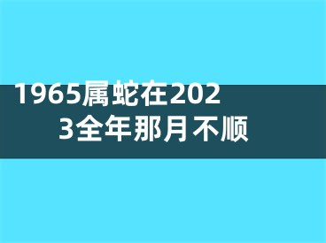 1965属蛇在2023全年那月不顺