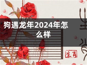 狗遇龙年2024年怎么样