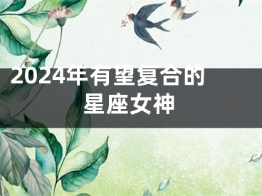 2024年有望复合的星座女神