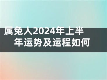 属兔人2024年上半年运势及运程如何