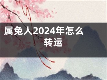 属兔人2024年怎么转运