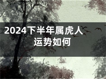 2024下半年属虎人运势如何