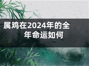 属鸡在2024年的全年命运如何