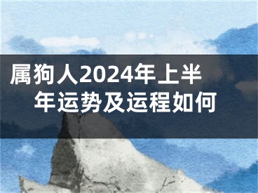 属狗人2024年上半年运势及运程如何