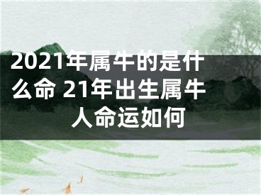 2021年属牛的是什么命 21年出生属牛人命运如何