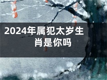 2024年属犯太岁生肖是你吗