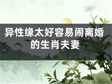 异性缘太好容易闹离婚的生肖夫妻