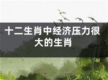 十二生肖中经济压力很大的生肖