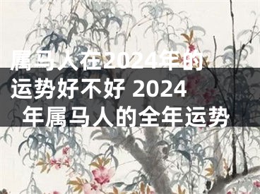 属马人在2024年的运势好不好 2024年属马人的全年运势