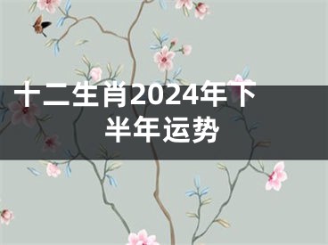 十二生肖2024年下半年运势