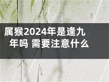 属猴2024年是逢九年吗 需要注意什么