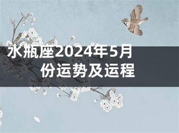 水瓶座2024年5月份运势及运程