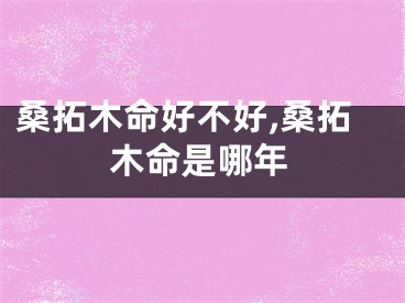桑拓木命好不好,桑拓木命是哪年