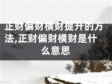 正财偏财横财提升的方法,正财偏财横财是什么意思