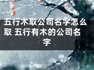 五行木取公司名字怎么取 五行有木的公司名字