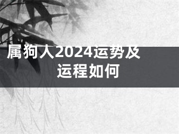 属狗人2024运势及运程如何