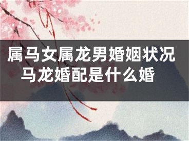 属马女属龙男婚姻状况 马龙婚配是什么婚