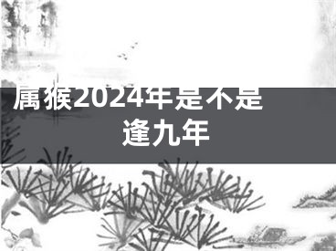 属猴2024年是不是逢九年