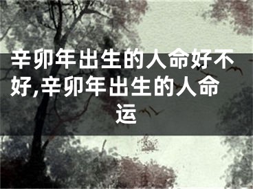 辛卯年出生的人命好不好,辛卯年出生的人命运