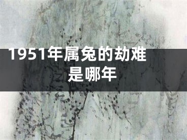 1951年属兔的劫难是哪年