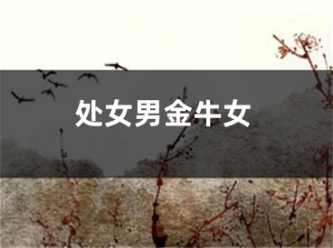 处女男金牛女