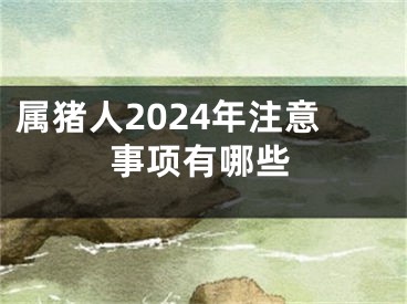 属猪人2024年注意事项有哪些